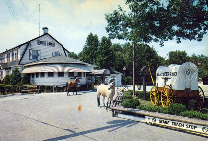 Absecon - Absecon Blsck Steer Ranbch