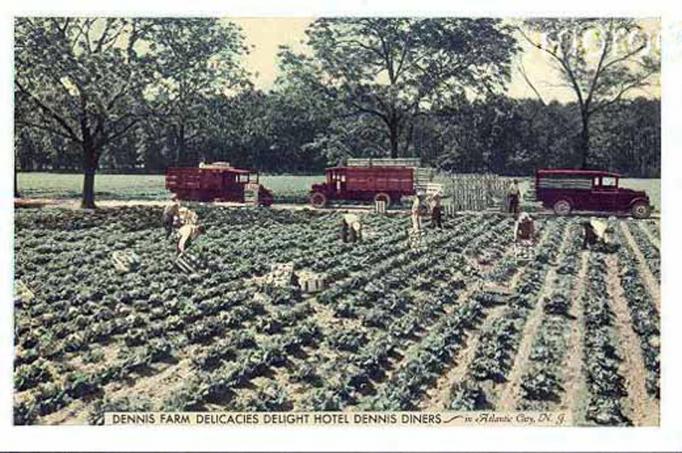 Atlantic City vicinity - Dennis Farm -Located 2 miles inland - Provided produce for the Hotel Dennis