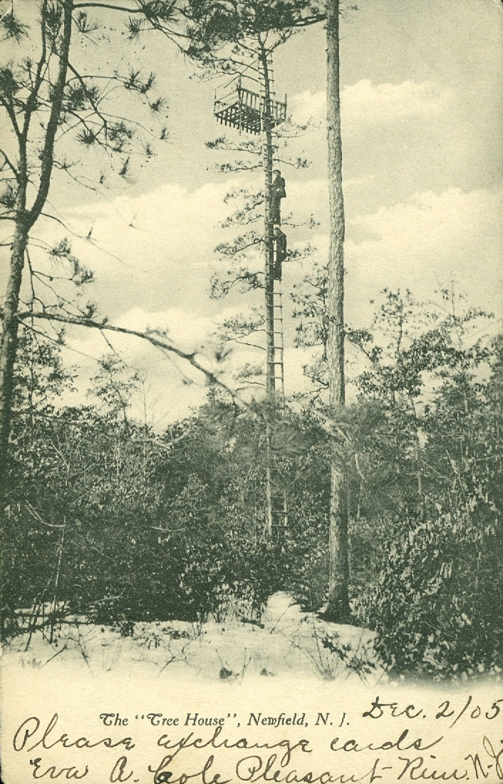 Northfield - The Tree House - c 1910s or so