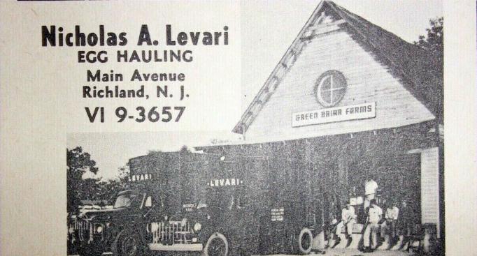 Richland - Nicolas A Levari - Egg Hauling - c 1955