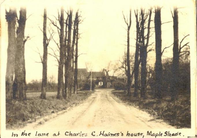 Maple Shade - In the lane at Charles C. Haines House