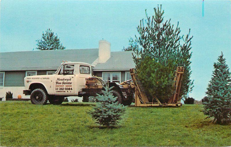 Medford - Meadowick Tree Service servicing a tree at an unidentified historic house