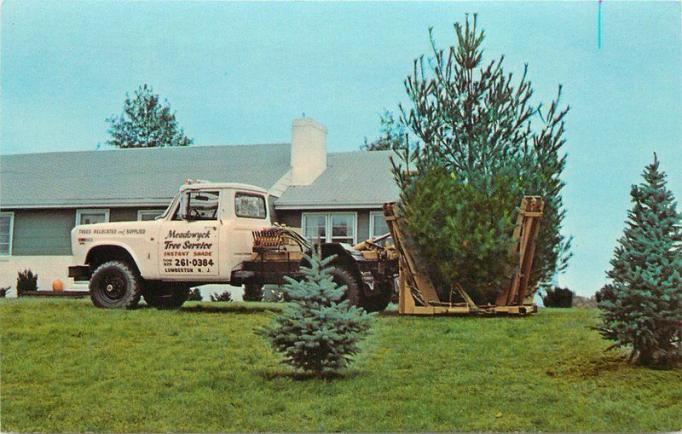 Medford - Meadowick Tree Service servicing a tree at an unidentified historic house