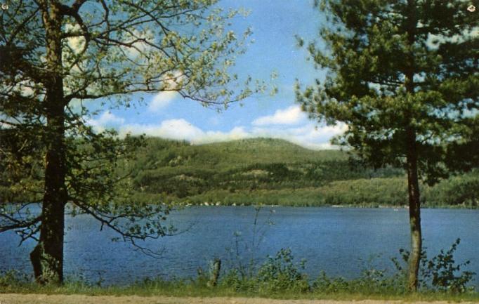 Vernon vicinity - Culvers Lake looking through trees